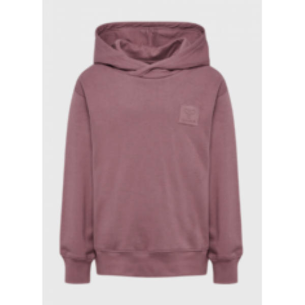 Hummel Hmlclean Hoodie 226260 Røros Sport 1