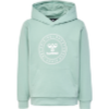 Hummel Hmlcuatro Circle Hoodie 224033 Røros Sport 2