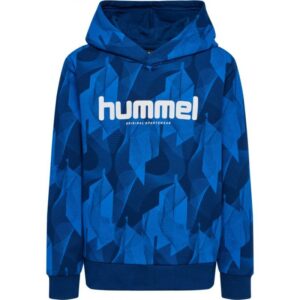 Hummel Hmlelon Hoodie 223681 Røros Sport 1