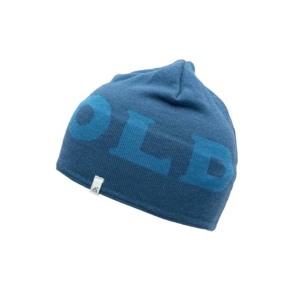 Devold DEVOLD LOGO MERINO BEANIE KID GO 700 920 A Røros Sport 1